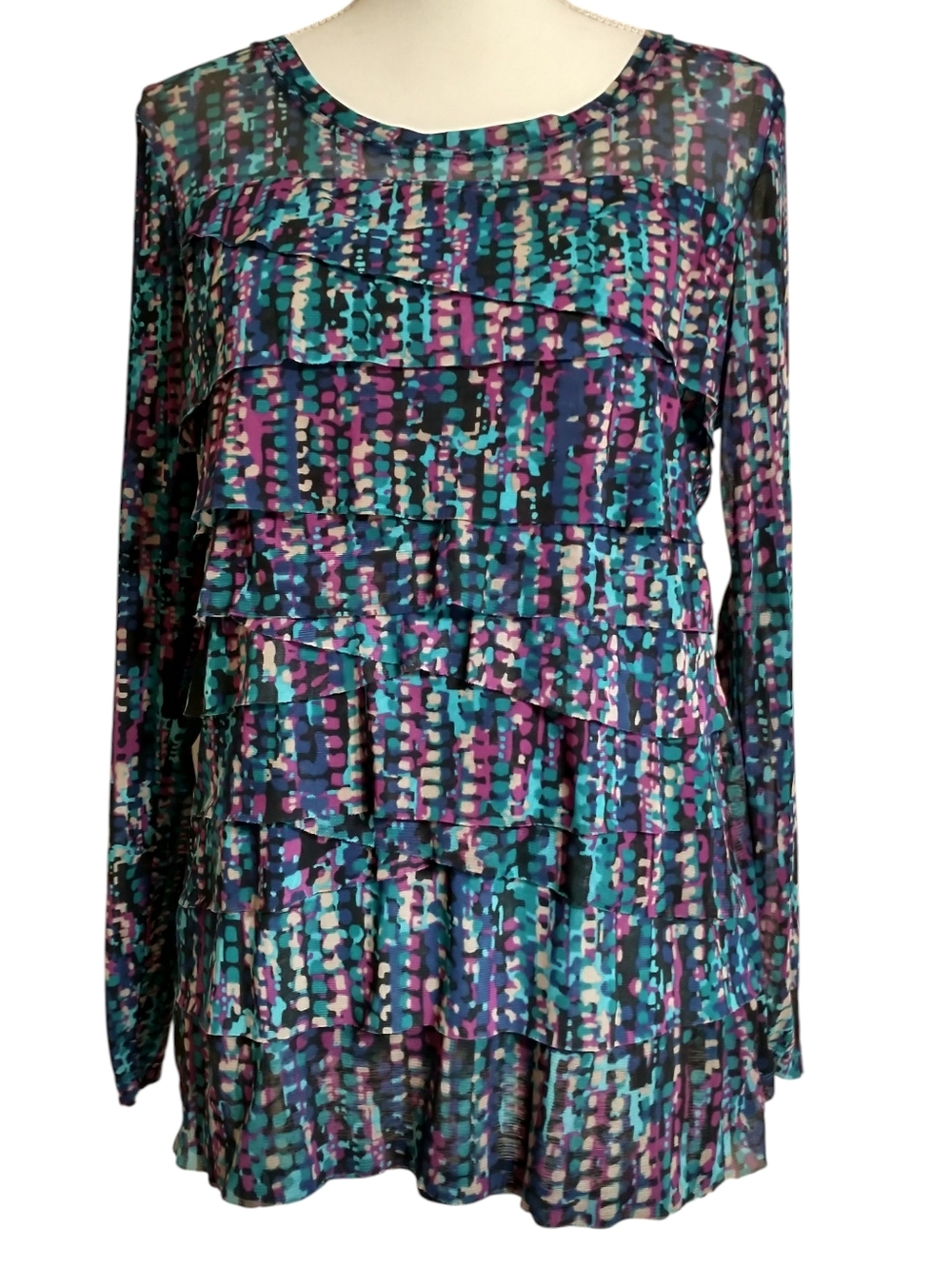 Sheer Ruffled Long Sleeve Top